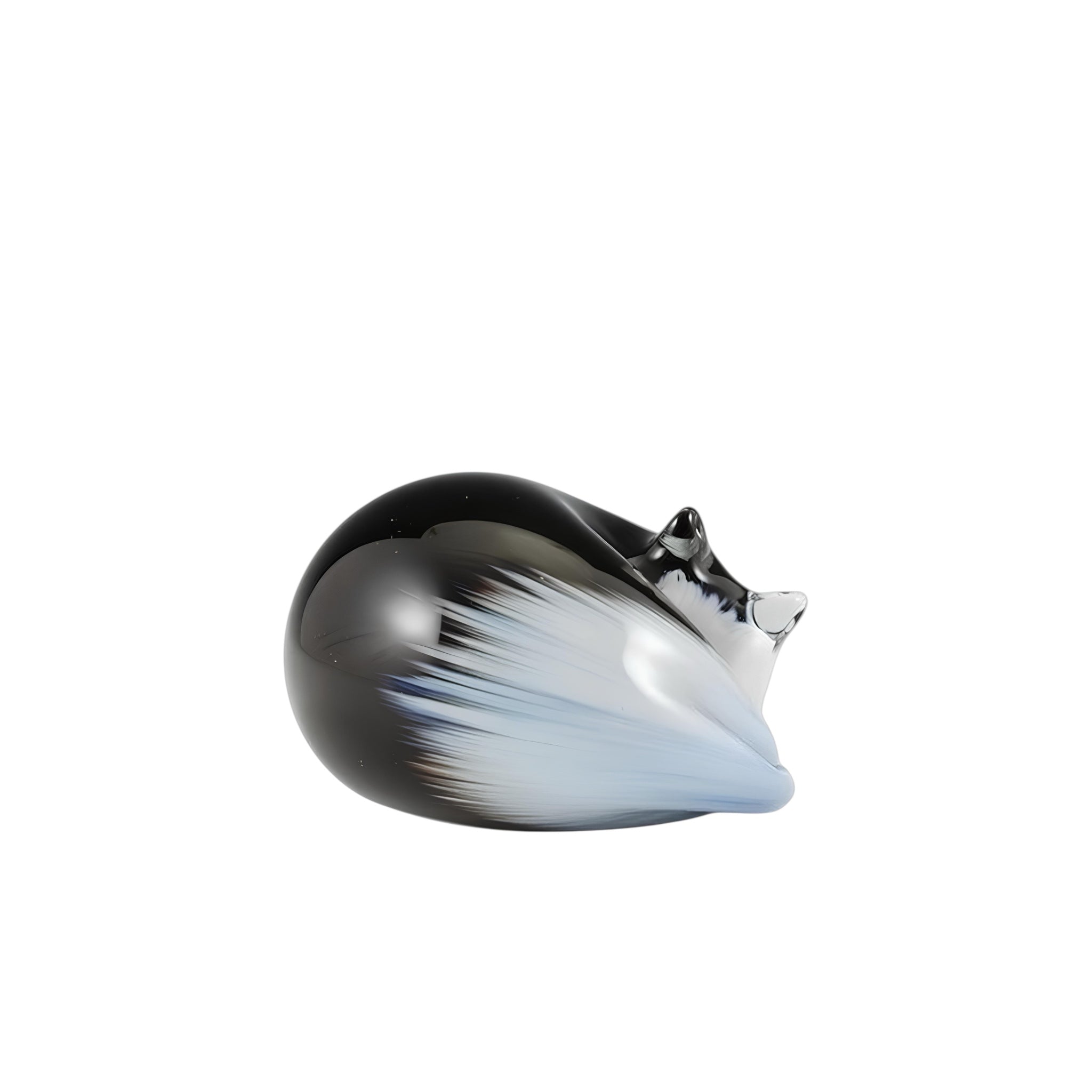 Black Sleeping Cat with White Face and Tail