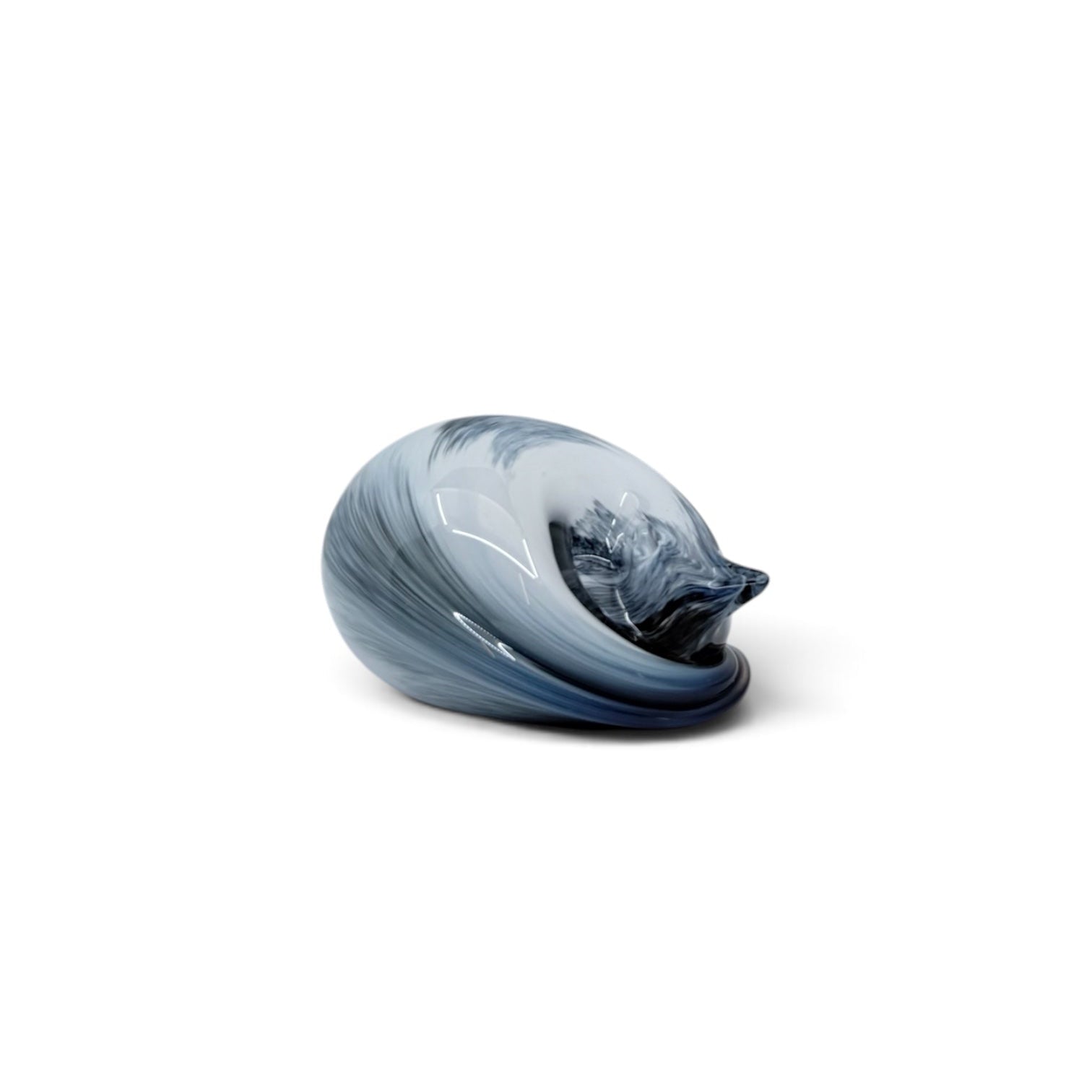 Sleeping Cat