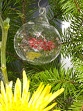 Corona, COVID-19 Christmas Ornament