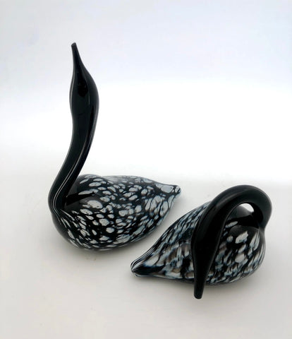 black Glass Loons